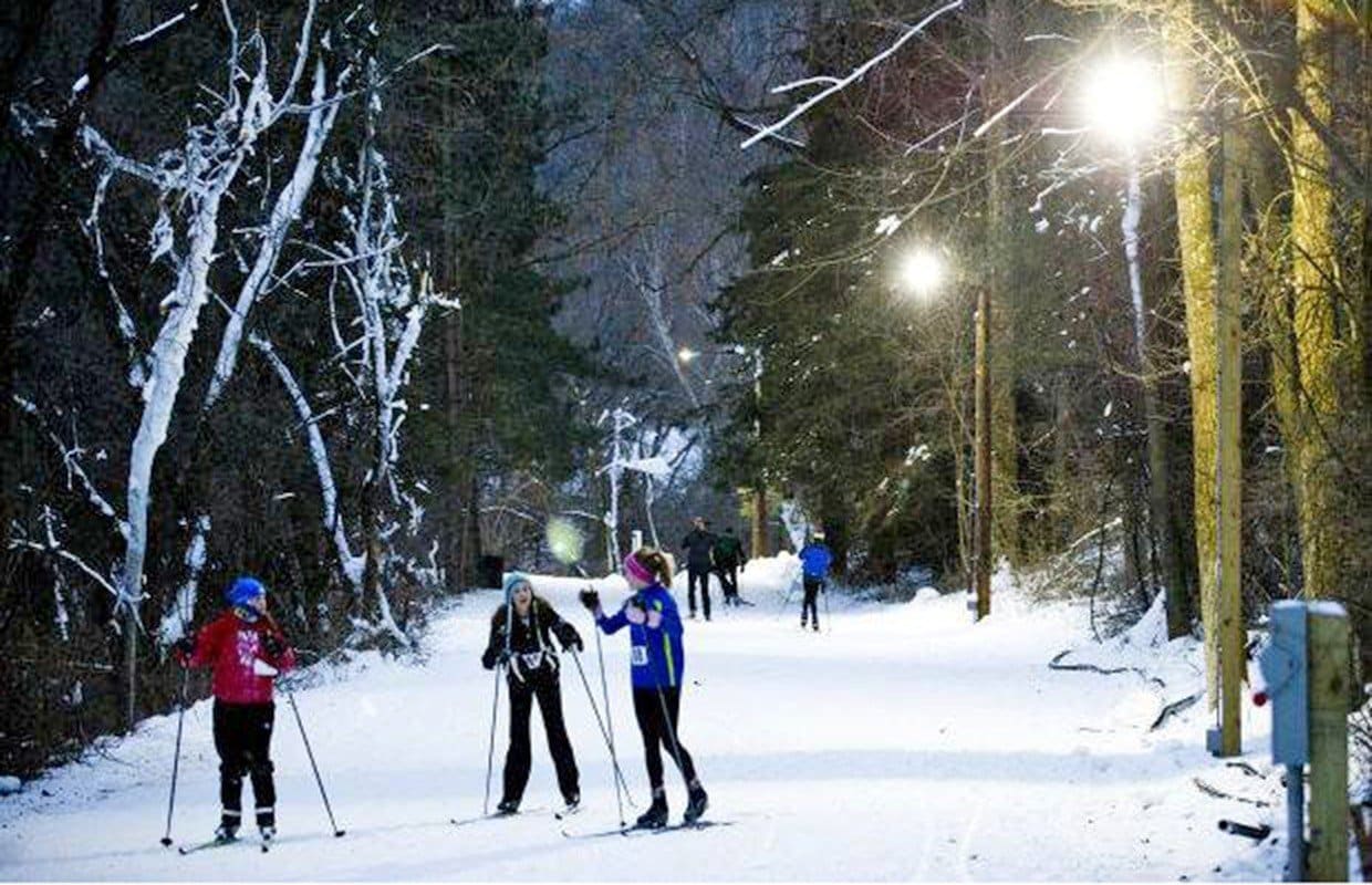 The Nordic Ski Trails
